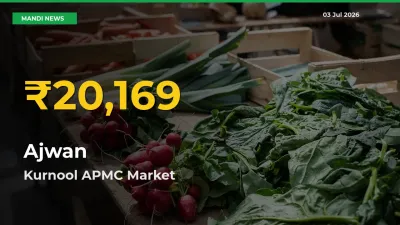 Ajwan Price Rally Continues – Kurnool APMC Hits Fresh High Today