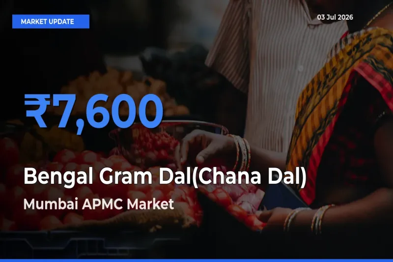 Market Watch: Mumbai APMC Becomes Top Mandi for Bengal Gram Dal(Chana Dal)