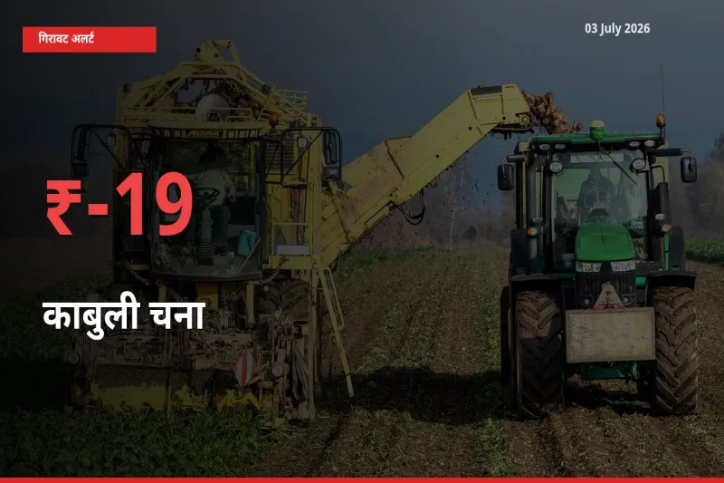 स्थानीय मंडी में काबुली चना के दाम अचानक 19% गिरे, किसानों की चिंता बढ़ी