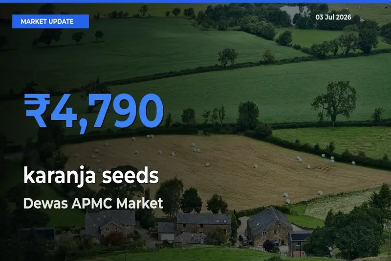 Dewas APMC Tops karanja seeds Mandi Rates Today