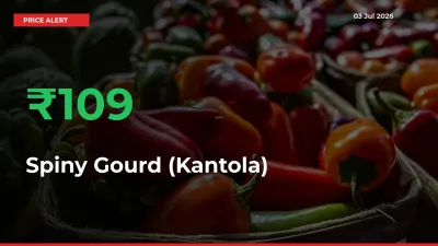 109.38% Spike in Spiny Gourd (Kantola) Prices – Mandi Sees Sudden Rally