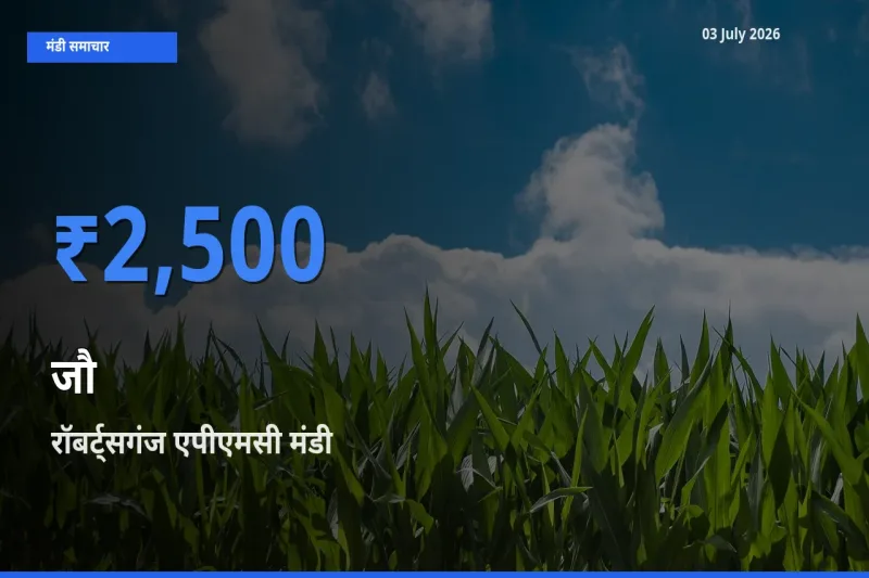 आज जौ के सबसे ऊँचे दाम ₹2,500 रॉबर्ट्सगंज एपीएमसी मंडी में