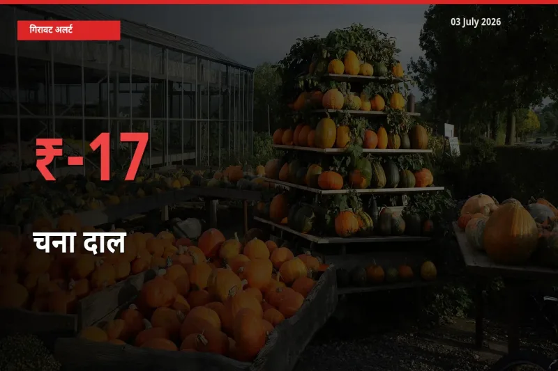 03 July अपडेट: चना दाल के दाम मंडी में 16.88% गिरे