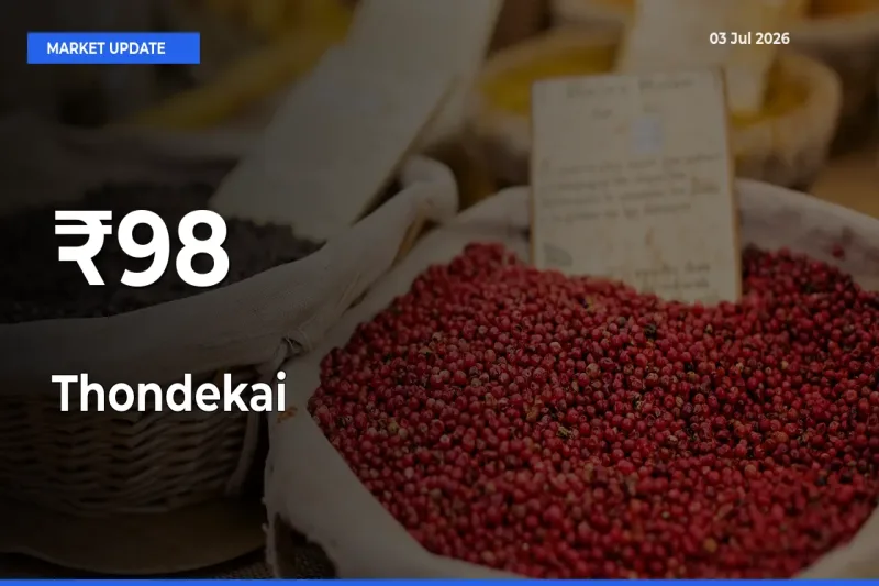 Thondekai Shows Strong Mandi Trend – July 03 Market Update
