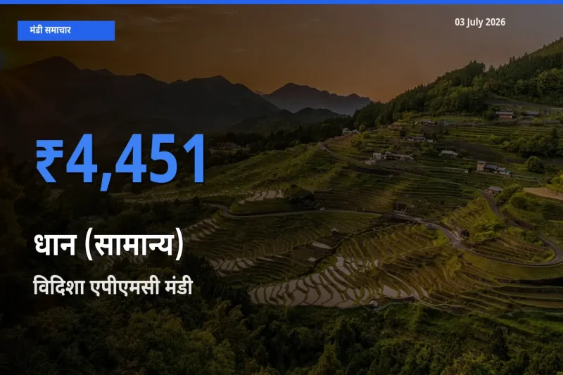 03 July अपडेट: धान (सामान्य) के सबसे ऊँचे दाम विदिशा एपीएमसी मंडी में