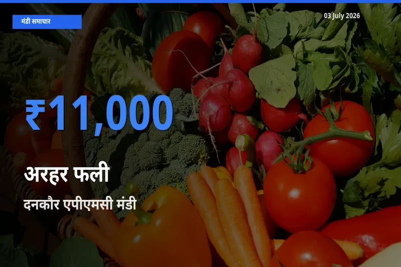 किसानों की पसंद बना दनकौर एपीएमसी, अरहर फली के सबसे अच्छे दाम
