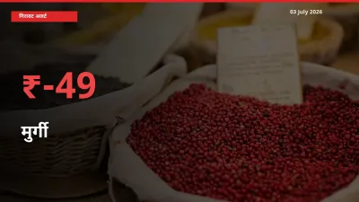 अचानक झटका! मंडी में मुर्गी के दाम 48.67% टूटे