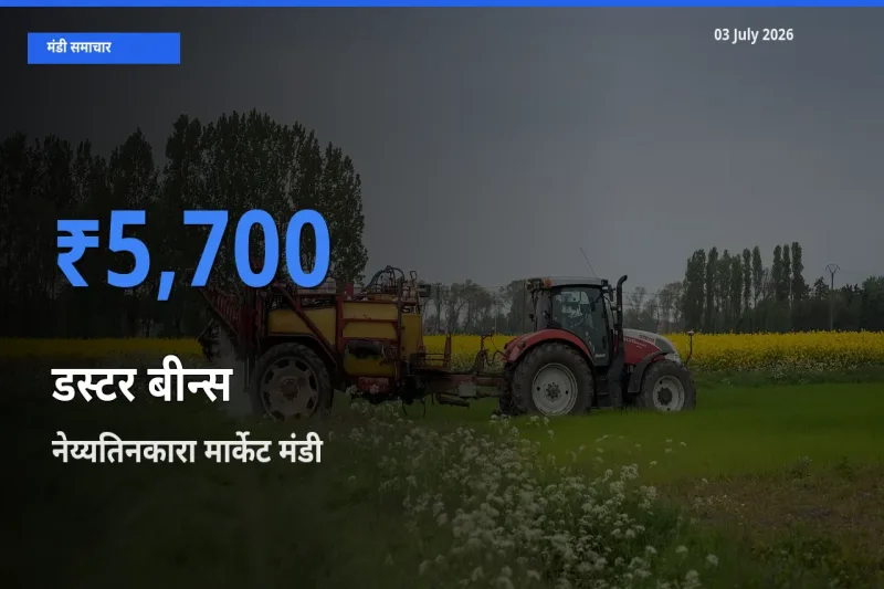 नेय्यतिनकारा मार्केट में डस्टर बीन्स का आज सबसे ऊँचा भाव