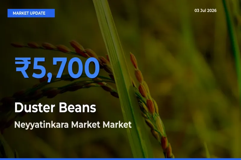 Neyyatinkara Market Emerges as Top Mandi for Duster Beans Prices Today