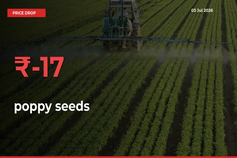 This Mandi Records 17.16% Fall in poppy seeds Prices