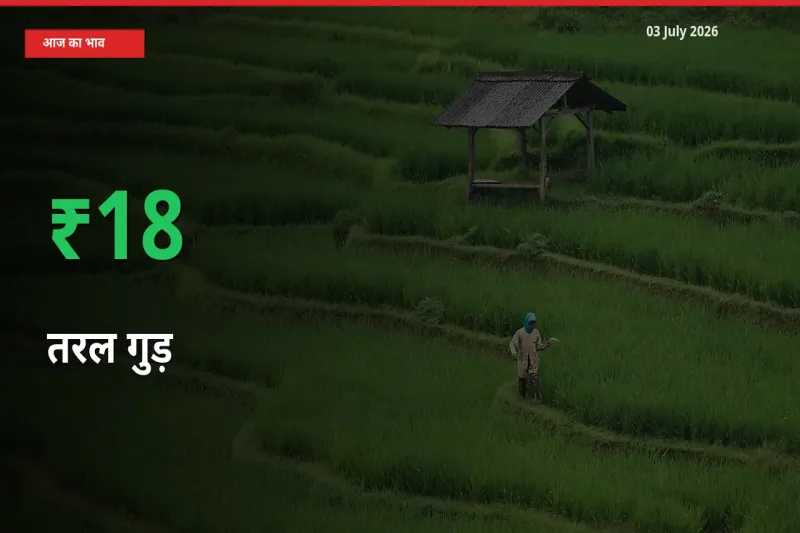 बाज़ार संकेत: तरल गुड़ के भाव मंडी में 17.76% ऊपर