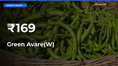 Green Avare(W) Trend Strengthens Across Major Mandis