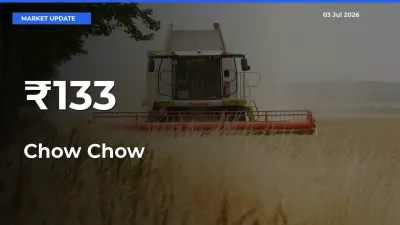 Chow Chow Prices Trend Across 133+ Mandis – Market Direction Turns Clear