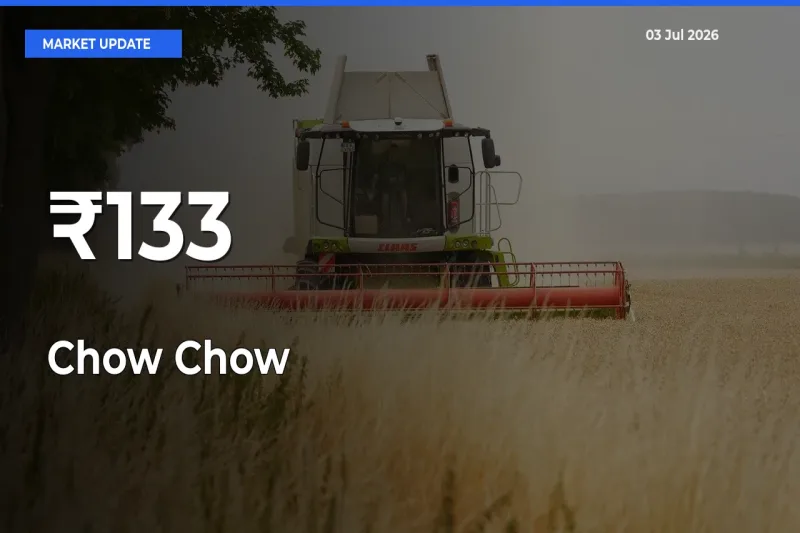 Chow Chow Prices Trend Across 133+ Mandis – Market Direction Turns Clear