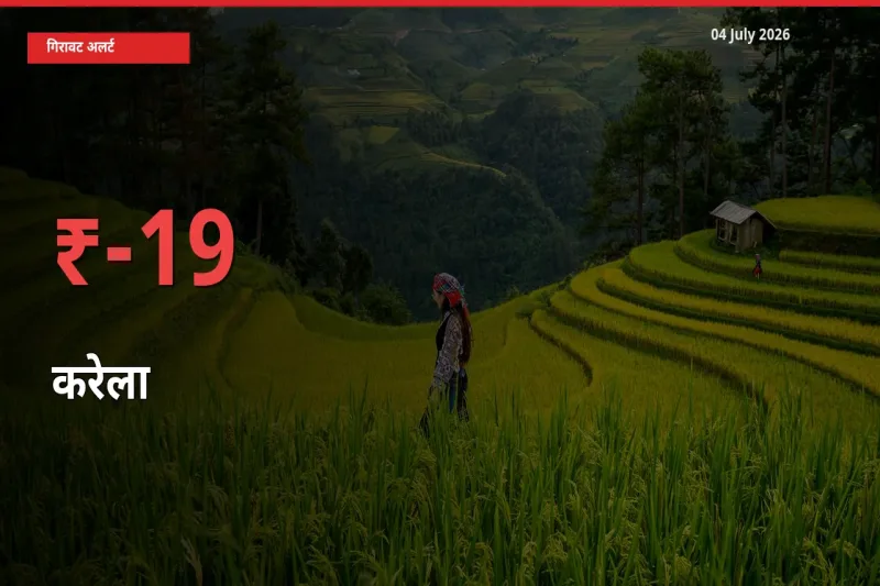 करेला 18.75% गिरा, मंडी