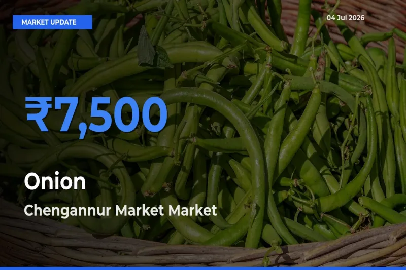 Chengannur Market Tops Onion Rates – July 04 Market Update