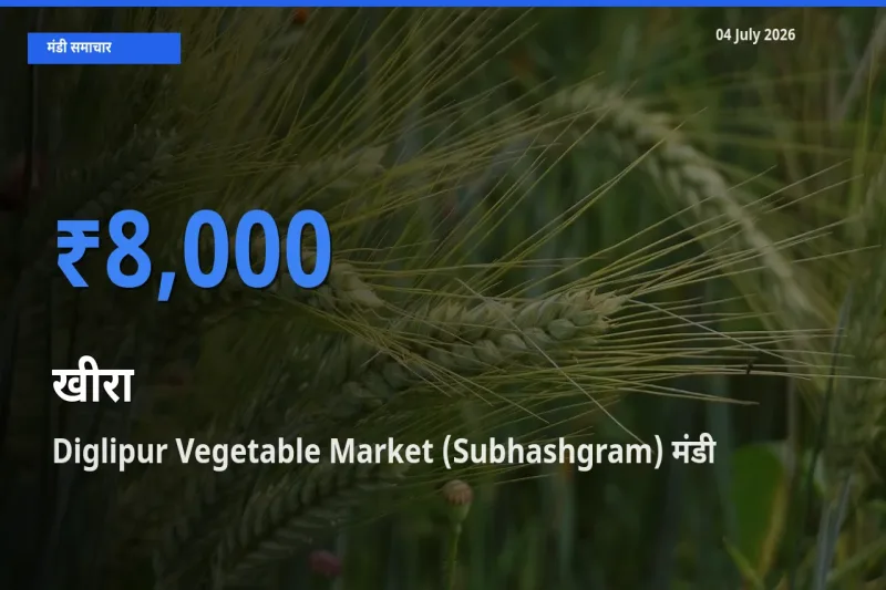 Diglipur Vegetable Market (Subhashgram) मंडी में आज खीरा के सबसे ऊँचे दाम दर्ज