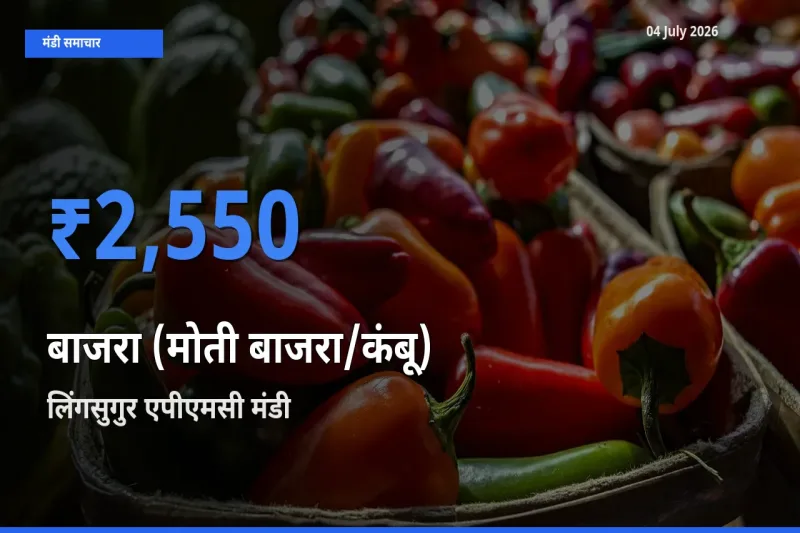 टॉप मंडी बना लिंगसुगुर एपीएमसी! बाजरा (मोती बाजरा/कंबू) के सबसे ऊँचे दाम यहीं दर्ज