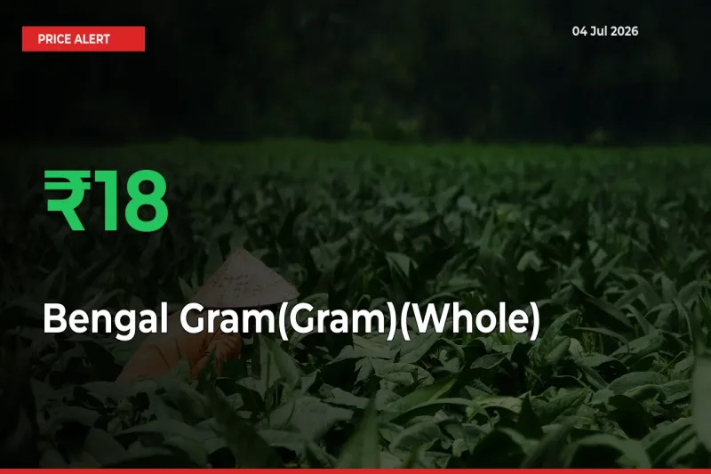 Bengal Gram(Gram)(Whole) Rises 17.82% at Mandis