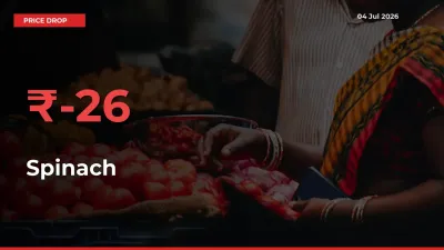 Sudden Shock! Spinach Drops 25.51% in 24 Hours at Top Mandis