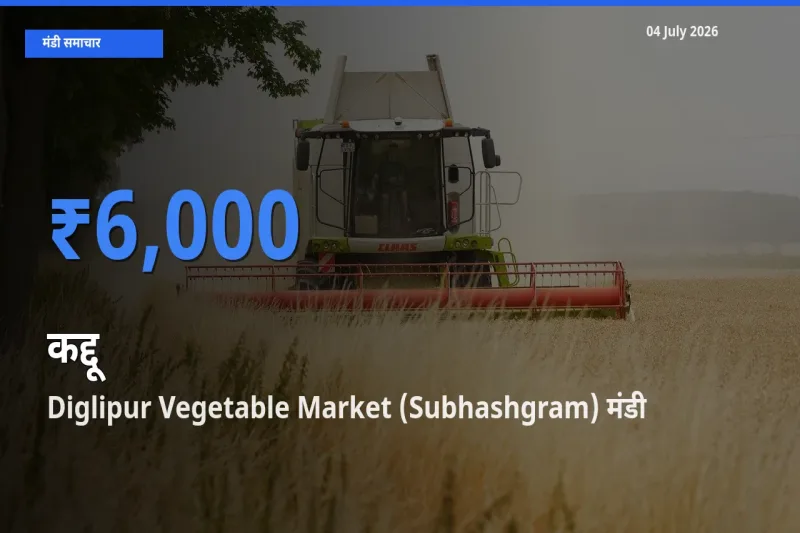 Diglipur Vegetable Market (Subhashgram) में कद्दू का आज सबसे ऊँचा भाव