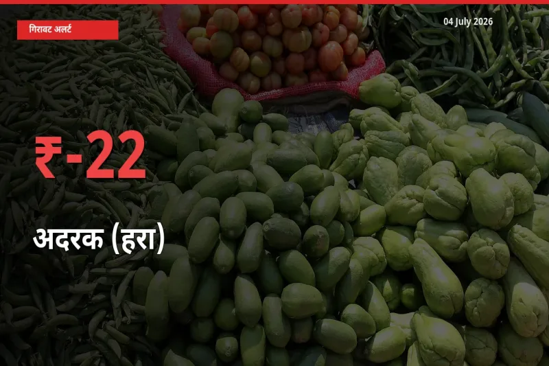 04 July अपडेट: अदरक (हरा) के दाम मंडी में 22.33% गिरे