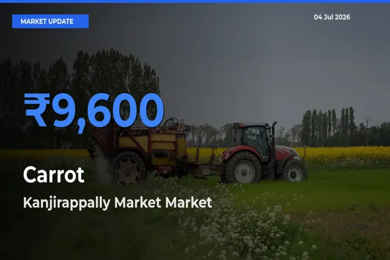 Farmers Prefer Kanjirappally Market as Carrot Hits Highest Rate