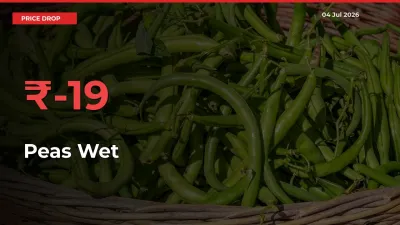 Farmers Alert as Peas Wet Prices Slide 18.72% in Local Mandis