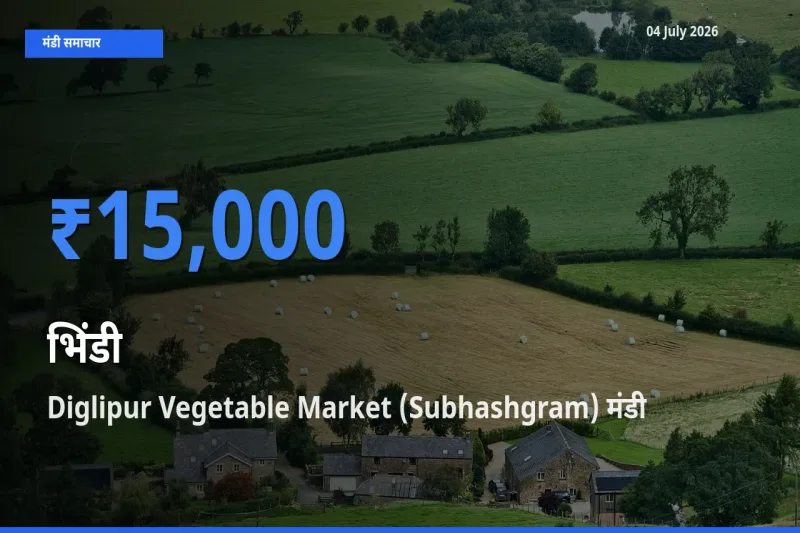 Diglipur Vegetable Market (Subhashgram) में भिंडी का आज सबसे ऊँचा भाव