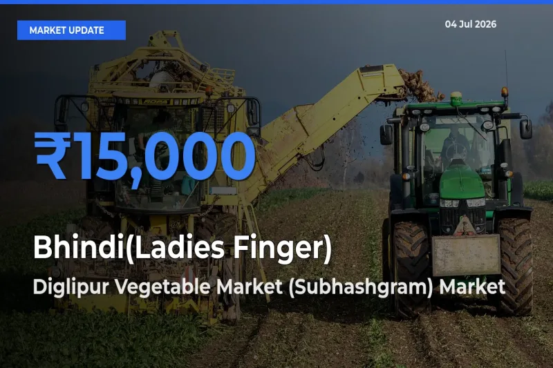 Diglipur Vegetable Market (Subhashgram) Tops Bhindi(Ladies Finger) Mandi Rates Today