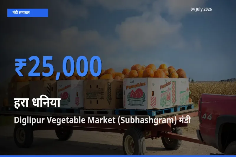 04 July अपडेट: हरा धनिया के सबसे ऊँचे दाम Diglipur Vegetable Market (Subhashgram) मंडी में