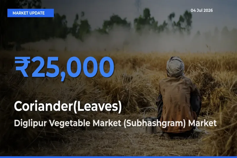 Diglipur Vegetable Market (Subhashgram) Tops Coriander(Leaves) Rates – July 04 Market Update