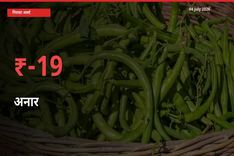 आज का मंडी भाव: अनार के दाम मंडी में 19.47% नीचे