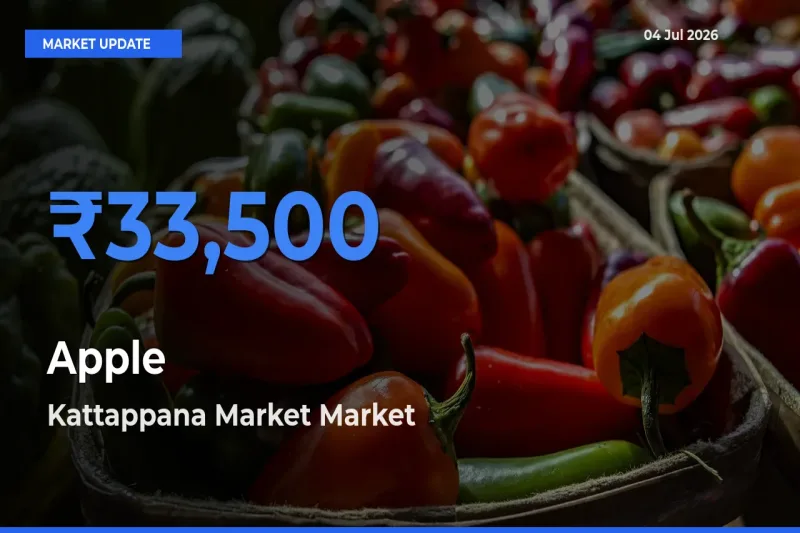 Kattappana Market Offers ₹33,500 – Highest Apple Rate Today