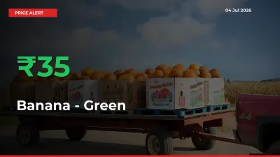 Farmers Cheer as Banana - Green Prices Surge 34.53% in Local Mandis