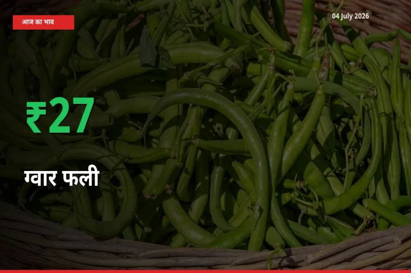 बाज़ार संकेत: ग्वार फली के भाव मंडी में 26.94% ऊपर