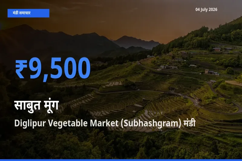 Diglipur Vegetable Market (Subhashgram) में साबुत मूंग का आज सबसे ऊँचा भाव
