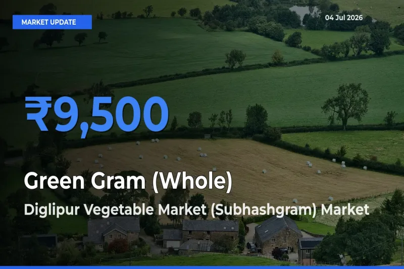 Green Gram (Whole) Mandi Rate Today: Diglipur Vegetable Market (Subhashgram) Tops the List