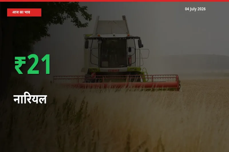 स्थानीय मंडी में नारियल के दाम अचानक 21.31% उछले, किसान सतर्क