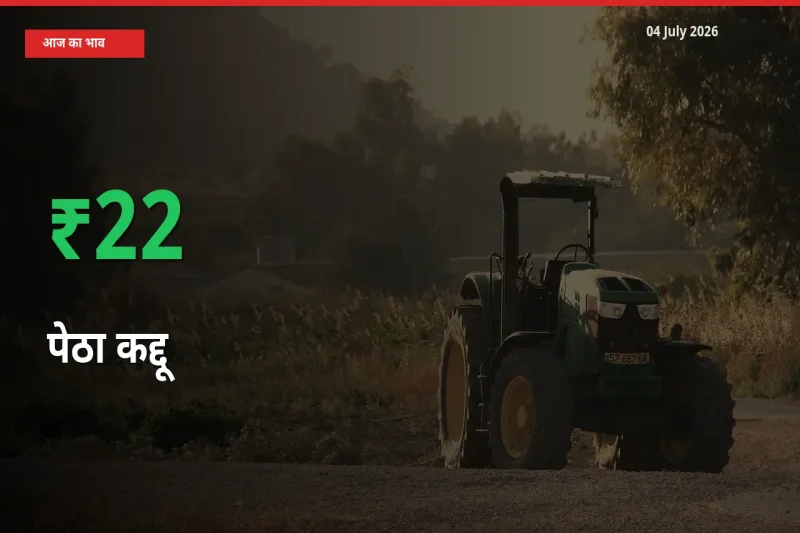 आज का मंडी भाव: पेठा कद्दू के दाम मंडी में 22.36% ऊपर