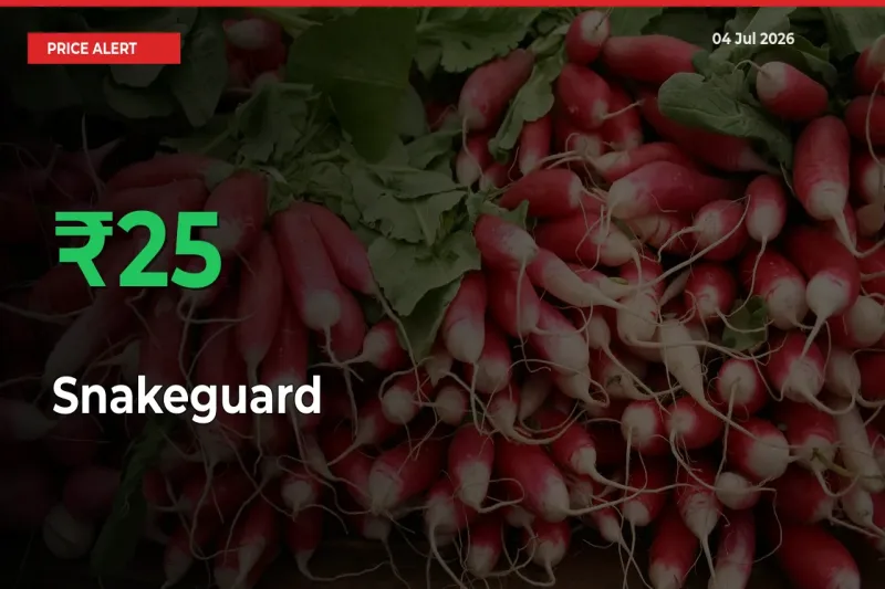 This Mandi Records 24.71% Jump in Snakeguard Prices