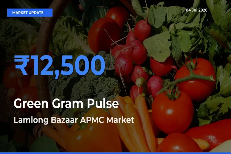 Lamlong Bazaar APMC Tops Green Gram Pulse Mandi Rates Today