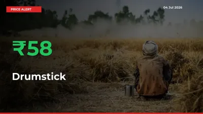 This Mandi Records 58.23% Jump in Drumstick Prices