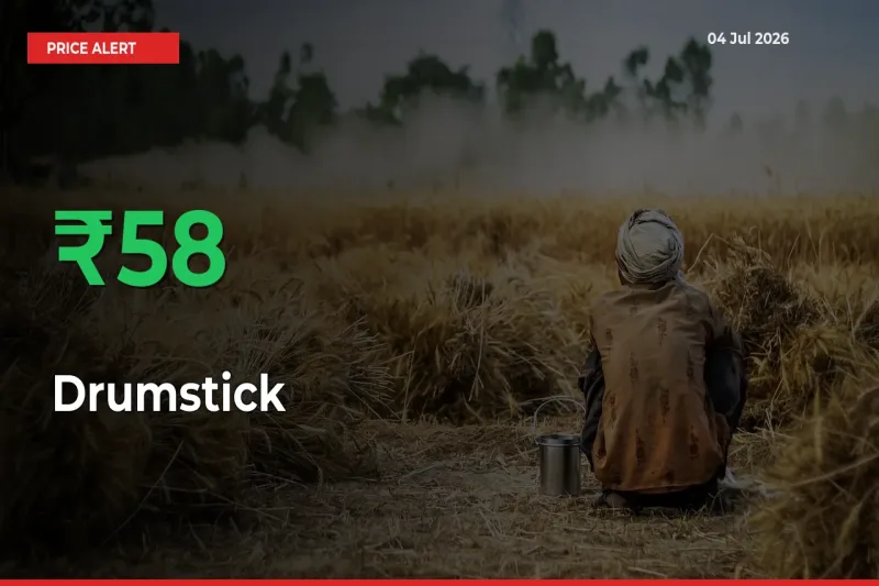 This Mandi Records 58.23% Jump in Drumstick Prices