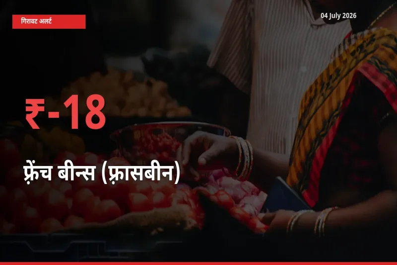 फ़्रेंच बीन्स (फ़्रासबीन) के दाम प्रमुख मंडी में 17.63% गिरे, 24 घंटे में बड़ा बदलाव