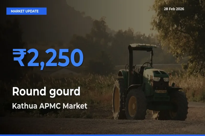 Kathua APMC Offers ₹2,250 – Highest Round gourd Rate Today