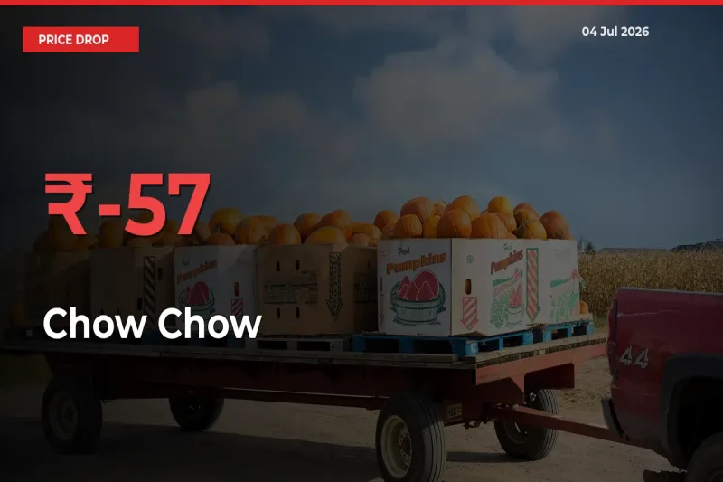 Chow Chow Prices Drop 56.72% – July 04 Market Update from Mandis