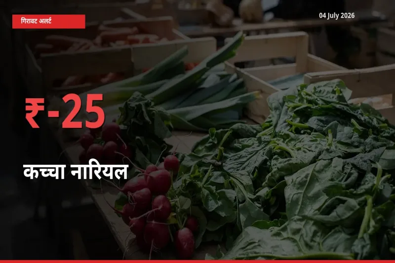 बाज़ार संकेत: कच्चा नारियल के भाव मंडी में 25.11% नीचे