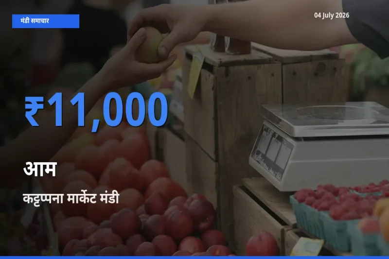 बाज़ार संकेत: कट्टप्पना मार्केट बना आम के लिए आज की टॉप मंडी