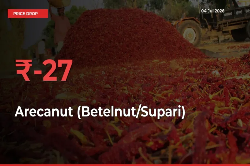 Why Arecanut (Betelnut/Supari) Prices Fell 26.69% in a Day at Mandis